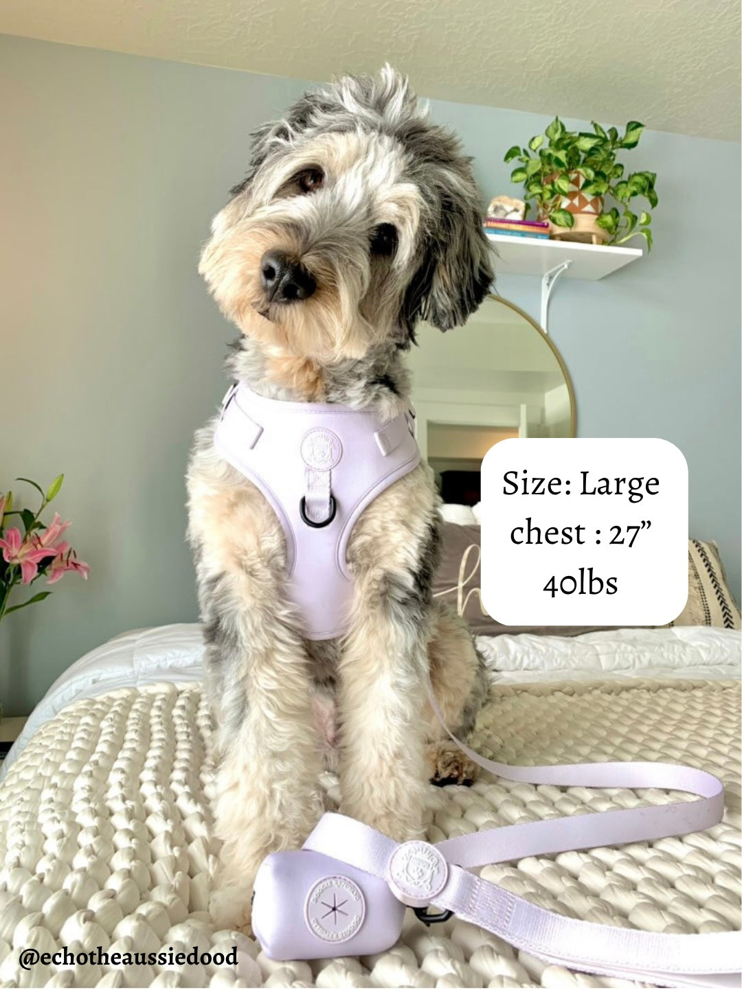 Doggie Sport Harness - I Lilac You A Lot